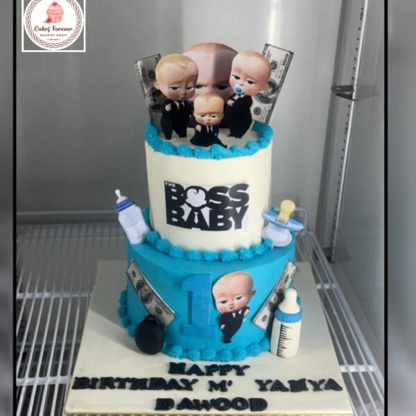 5 Pounds chocolate fudge + Vanilla cake.